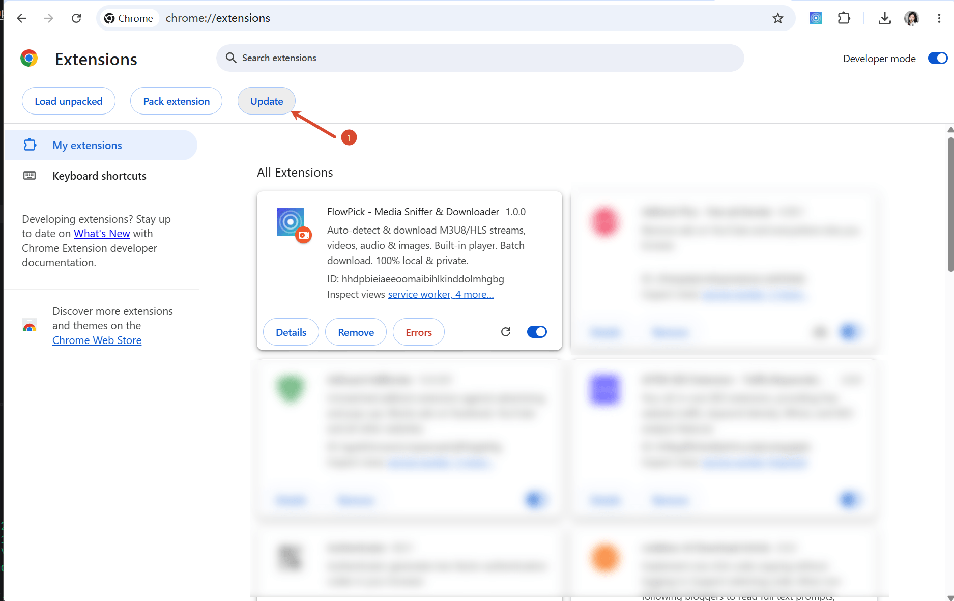 Extension Update Page